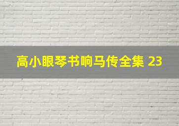 高小眼琴书响马传全集 23